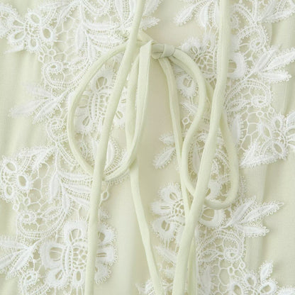 Lace V-Neck Blouse